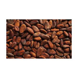 Matériel de cuisson Prix de gros naturel Haricots de cacao crus séchés Haricot de coco à vendre - Product Image 3