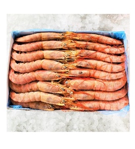 Camarones Rojos Argentinos de Primera Calidad, Congelados, Crudos, Enteros, para Exportación, Compradores al por Mayor e Industria Alimentaria - Product Image 1