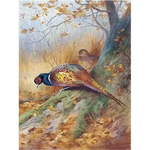 Par de faisán Acento Acentos de pared Cocina Baño Pared Backsplash Azulejo de cerámica Mural - Product Image 1