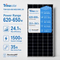 Module solaire Trina Solar N-Type Con double vitrage 620-650W 132 cellules demi-coupées pour projets commerciaux sur toits et installations au sol