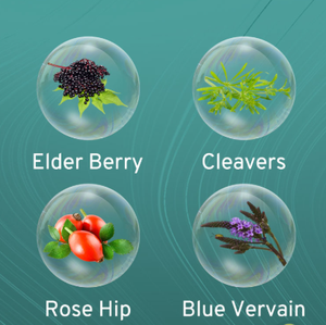 OEM Липосомальные капли для лимфодренажа 11 в 1: Добавка с корнем лопуха, эхинацеей, календулой. Жидкость для приёма внутрь. - Product Image 3