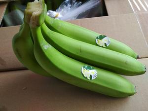 2024 Vente chaude Organique Cavendish Banane Premium Qualité Frais D'exportation Standard du Vietnam Vert Culture Commune - Product Image 2