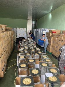 Vietnam Cashew <b>Nuts</b> Natural White Wholesale From Factory W320 W180 W240 - Product Image 4