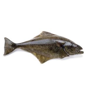 Halibut del Atlántico Congelado al Por Mayor, Precio Económico, Mejor Calidad, Venta con Exportaciones a Todo el Mundo - Product Image 4