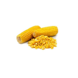 Expédition en vrac de maïs jaune offert pour des applications de qualité alimentaire - Product Image 1