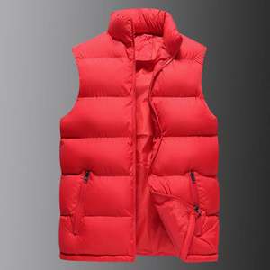 Chaqueta de Invierno de Alta Calidad para Hombre, Fabricada con Tela de Poliéster Resistente al Agua y Relleno de Fibra Sintética - Product Image 4