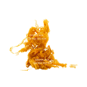 มอสทะเลคุณภาพสูงวัสดุบรรจุภัณฑ์ Eucheuma cottonii สาหร่ายทะเลมอสแห้ง - Product Image 4