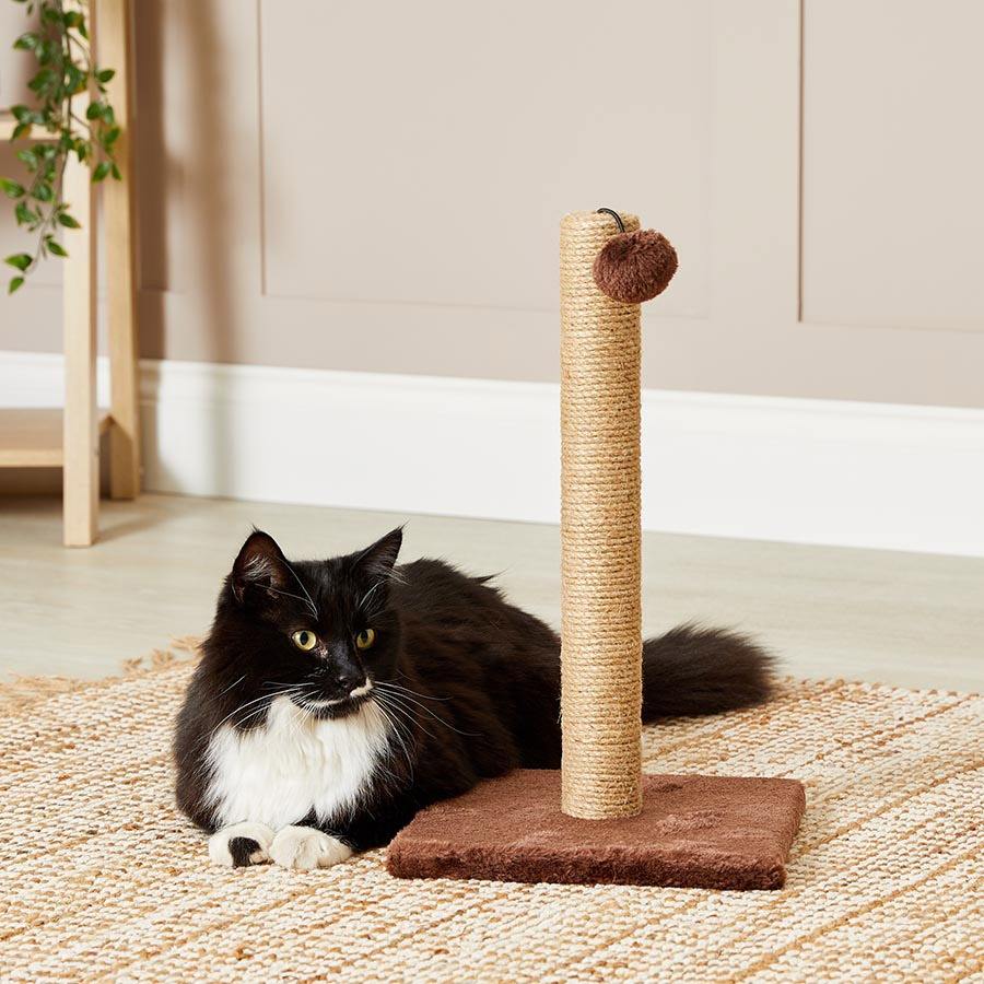 ธรรมชาติ