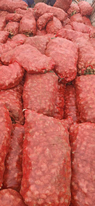 Bao Tram Anh Company ofrece grandes cantidades de jengibre fresco directamente de Vietnam para uso agrícola - Product Image 3