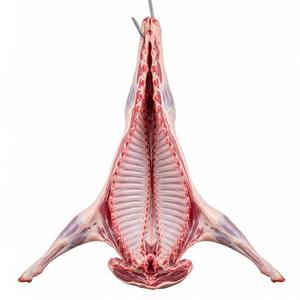 Offre promotionnelle sur le corps en carcasse d'agneau complet congelé de qualité supérieure de qualité supérieure nutritive exportation en vrac avec expédition rapide - Product Image 3