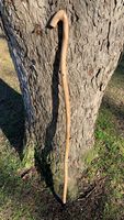 Bastone da Passeggio in Legno Naturale di Alta Qualità per Anziani con Impugnatura Multiforme e Terapia di Riabilitazione