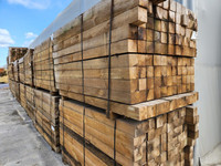 Bois scié d'eucalyptus de haute qualité-Longueurs de 1 à 2 mètres | Factory Direct