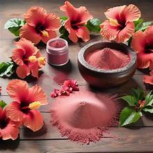POUDRE DE FLEUR D'HIBISCUS À BASSES DE HAUTE QUALITÉ POUR LA FONCTION IMMUNITAIRE DE DÉTOX DE BEAUTÉ ET LE STYLE DE VIE VÉGAN - Product Image 2