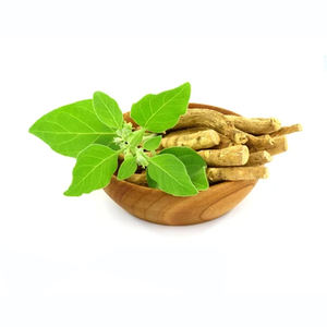 100% polvo de extracto de raíz de Ashwagandha de grado alimenticio Natural 90% 2.5% 5% 10% extracto solvente de hierbas cultivadas en estado salvaje - Product Image 2