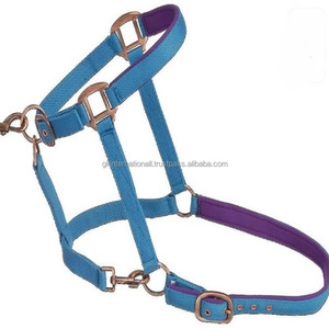 Horse Equipment Equestrian Horse Racing Double <b>Thick</b> Nylon Horse Halter Many Colors and Custom Sizes Rust Free Nickel Hardware - Product Image 5