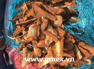 Litea ผง Joss ผงการ์ดกันน้ำบริสุทธิ์36-42ถ้วยธูปทำผักชี ambergris ศาสนา