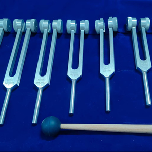 Diapasones de Chakra - plateados con peso - Product Image 1