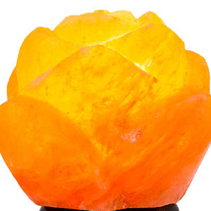 Lámpara de sal de cristal del Himalaya natural, decoración de marfil tallada con estilos de amor de flores, luz nocturna para el hogar o la oficina - Product Image 4