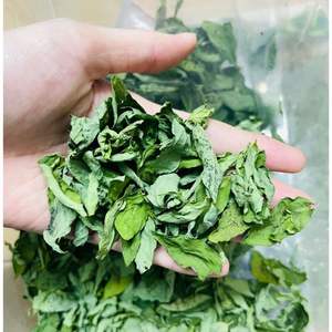 คาตาคุคุคุคุแบบมีใบหวานสำหรับชาสมุนไพรส่วนผสมจากเวียดนามแห้งผลิตจากโรงงาน - Product Image 5