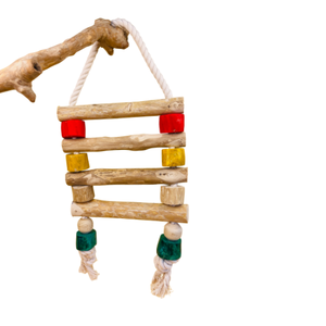 Jouet pour oiseaux en bois de café naturel, jouet à mâcher écologique pour perroquets et petits oiseaux, OEM ODM - Product Image 2