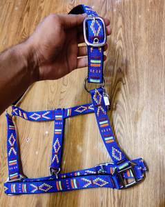 Halter de cheval parfaitement ajusté dans toutes les tailles et couleurs disponibles avec des raccords en laiton argenté dans toutes les nuances - Product Image 3
