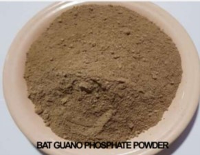 Engrais organique Komodoin, guano de chauve-souris, phosphate en poudre, libération contrôlée, 18-27% P2O5, max 5-9% d'humidité, min 70% soluble, acide citrique - Product Image 4