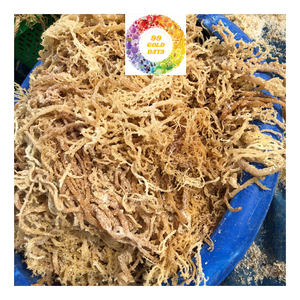 Musgo marino irlandés seco de gran tamaño limpio Eucheuma Cottonnii algas Producto Natural de alta calidad para ensalada Seamoss - Product Image 1