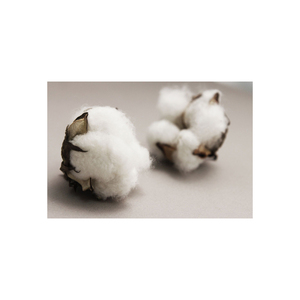 Bulk <b>raw</b> cotton available for international buyers and importers Premium <b>raw</b> cotton bale offered to <b>textile</b> and <b>fabric</b> producers - Product Image 2