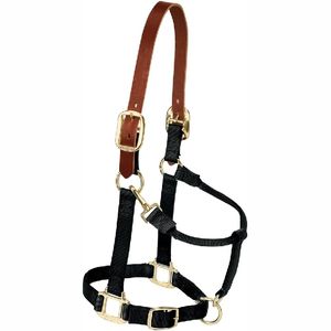 Nouveau 2025 Meilleure vente Personnaliser les licous de cheval Halter de haute qualité pour les chevaux - Product Image 6