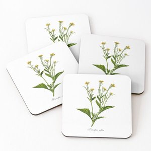 Posavasos de corcho impreso con esmalte de madera para bebidas absorbentes de agua para decoración de tazas de café logotipo personalizado impresión por sublimación - Product Image 4