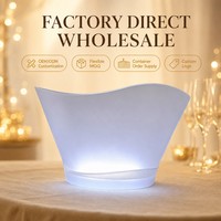 Seau à glace en plastique LED 12L avec base lumineuse, refroidisseur de champagne étanche en PP pour restaurant, bar, fête, OEM, ODM, vente en gros