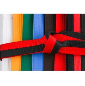 Taekwondo Judo Karate artes marciales cinturón poliéster algodón tela fieltro interior etiqueta personalizada cinturón - Product Image 2