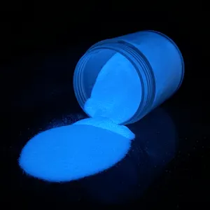 Ocrown Fine Glitter White Foshan Glow In The Dark Luminous Paint Pigment Powder