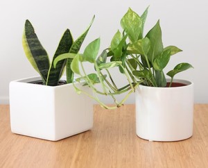 Ensemble de pots de fleurs en céramique blanche minimaliste, porte-plantes décoratif d'intérieur durable, accent moderne pour la maison - Product Image 2