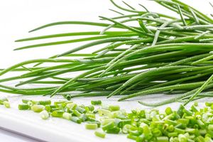 HOJA DE CEBOCHAS NATURALES CONGELADAS/SIN CONSERVADORES/DE CALIDAD ALIMENTARIA - Product Image 3