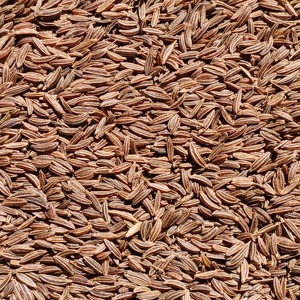 Semillas de alcaravea limpiadas a máquina de suministro a granel de exportación con semillas de alcaravea secas de alta pureza empaquetadas para pedidos grandes - Product Image 3