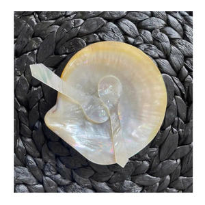 Cucchiaio e Piatto Rotondi in Madreperla, Piatto Multifunzionale per Design d'Interni, Cucchiaio e Piatto in Madreperla per Cene Gourmet - Product Image 4