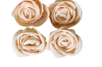 Sola Wood Flower diffuseur de roseau Parfum d'ambiance Fait à la main Sola Flower Echo Friendly Sola Flower Natural to aérer Freshen Reed
