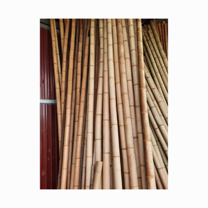 Postes de bambú 2025 más vendidos-100% postes de bambú fuertes rectos secos naturales/caña/Estaca de Vietnam - Product Image 2