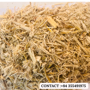 Polvo de bagazo ecológico para fabricación/Polvo de bagazo natural para uso industrial/Sra. Jessi - Product Image 3