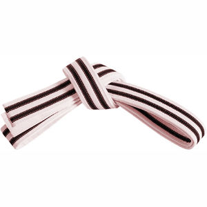 Nuevo 2025 Cinturones de artes marciales de calidad premium a bajo precio Cinturones de colores de artes marciales personalizables - Product Image 5