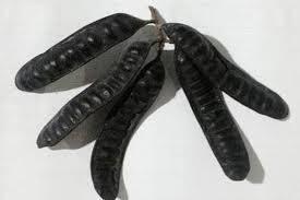 Gleditsia sinensis ผลิตในประเทศเวียดนาม // สมุนไพรธรรมชาติ100% สำหรับดูแลผมและผิวหนัง // ราคาดีที่สุดสำหรับคุณ - Product Image 2