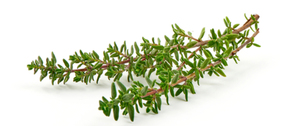 Thym sauvage naturel égyptien séché biologique 100% pur de qualité alimentaire - Product Image 2
