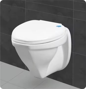 Fournisseur indien Produit populaire Prix bon marché Cuvette de toilette murale suspendue en céramique Ensemble complet de toilette murale pour solution de projet - Product Image 3