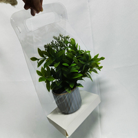 Portable Kraft Papier Floral Emballage Cactus ou Succulent Deux Pots Assis Plante Transporteur Boîte avec Poignée