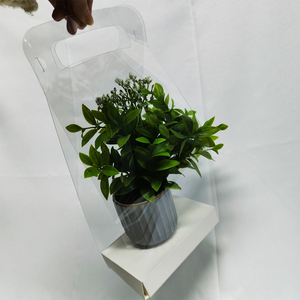 Xách tay kraft giấy hoa bao bì cây xương rồng hoặc mọng nước Hai Chậu ngồi nhà máy tàu sân bay hộp với xử lý - Product Image 4