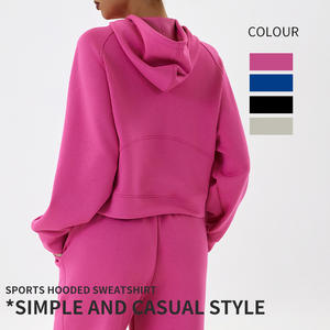 เสื้อมีฮู้ดกีฬาลำลองฤดูใบไม้ร่วงฤดูหนาวเสื้อทรงหลวมสำหรับฝึกซ้อมวิ่งกลางแจ้งแฟชั่นออกกำลังกาย - Product Image 2