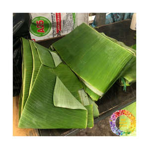 Feuilles de bananier vertes tropicales fraîches congelées en vrac, feuilles de bananier en gros, matériau parfait pour l'emballage alimentaire - Product Image 6
