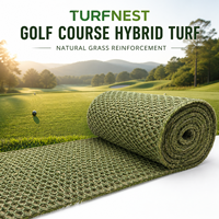 Gazon hybride Turfnest pour terrains de golf, renforcement en herbe naturelle pour les zones de départ, terrains de practice, gazon vert sur mesure en rouleau jusqu'à 4m x 50m