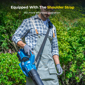 东城无绳园林工具20v便携式吹叶机专业电动吹雪机 - Product Image 4